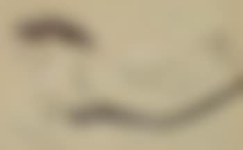 Reclining female nude (preview)