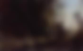 Leaning willow (preview)