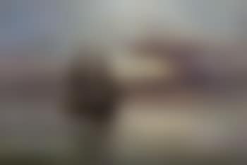 Dusk, The Queensberry (preview)