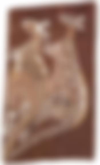 Male and female kangaroos (preview)