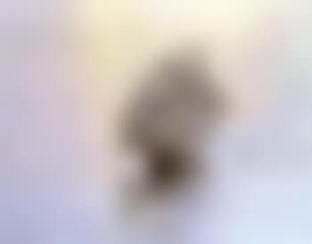 Wings of Dawn, Lord Nelson's flagship Victory emerging from the haze (preview)