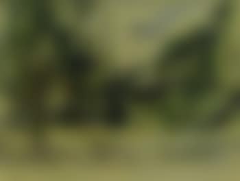 Paysage cubain (preview)