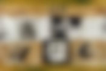 Untitled (preview)