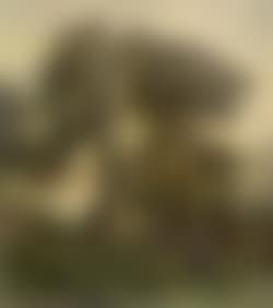 Paysage anime avec fermiere (preview)