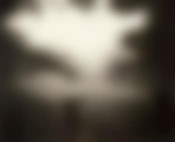 Emmett at Halloween (preview)