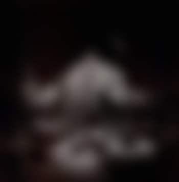 Desert cactus (preview)