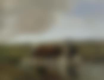 Landscape with cows (preview)