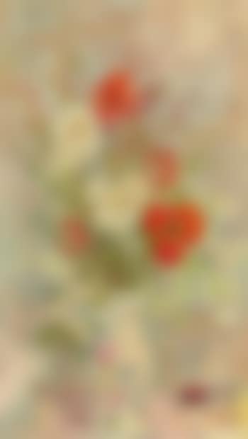 Tulips (preview)