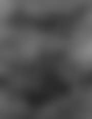 Painting 61 (preview)