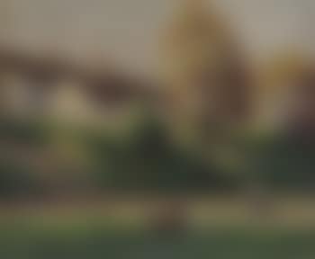 Village de Saint-Ay (preview)