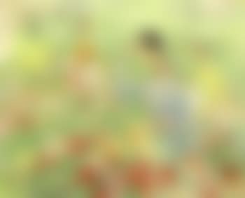 Three women in poppy field (preview)
