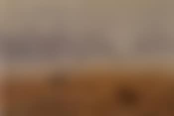 A distant shot. Misty morning (preview)