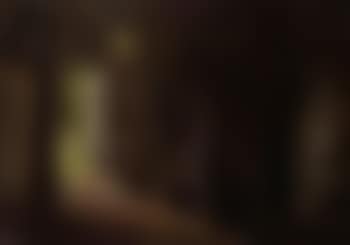 Woodshed with Aunt Boline Viborg (preview)