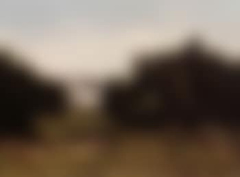 Landscape with manor house (preview)
