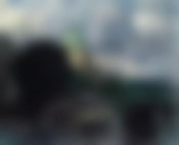 View from Copenhagen with trams, horse-taxi and figures (preview)