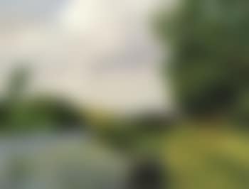 Landscape with Odense river (preview)