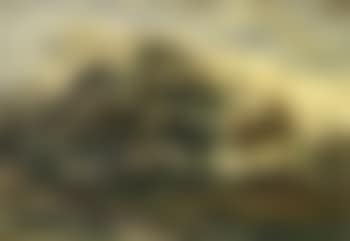 Landscape with meadows and forest (preview)
