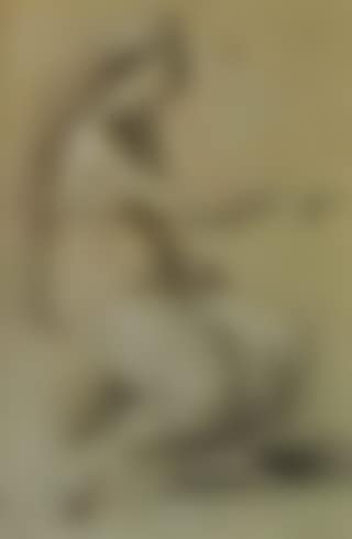 Female model figure (preview)