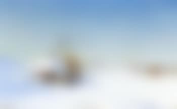 Sunny winter's day with house, mill and figures (preview)