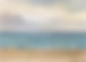 Skagen Sonderstrand on a clear day in May (preview)