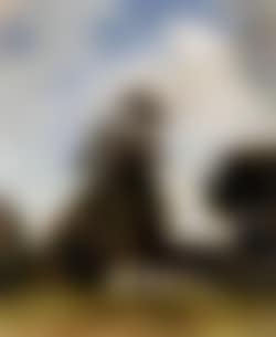 Landscape with farm and trees (preview)