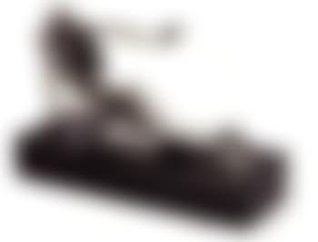 Le Cabinet Anthropomorphique (preview)