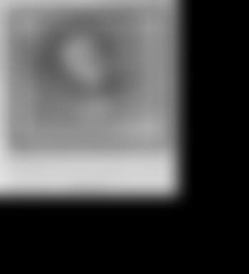 Portrait of a lady (preview)