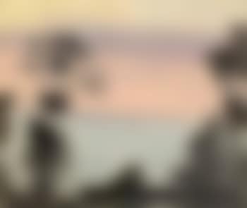 Dusk (preview)