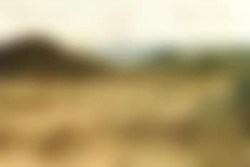Yorta Yorta language group (preview)