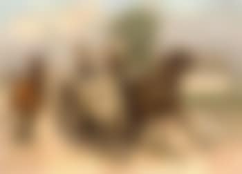 Galloping wagon (preview)