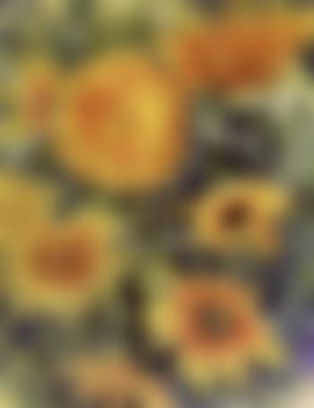 Sunflowers (preview)