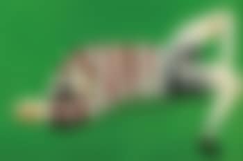 Footballer (preview)