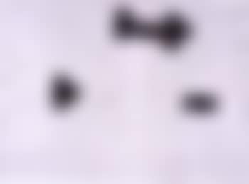Gravitation (preview)