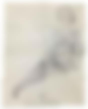 Accordance (preview)