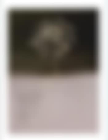 This part obscure (preview)