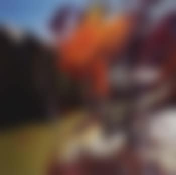 Firenze (preview)