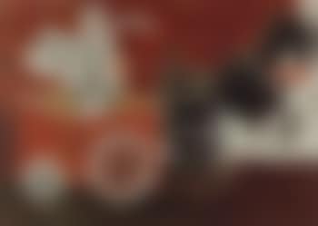 Charioteer (preview)