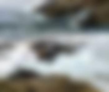 Instilling fog (preview)