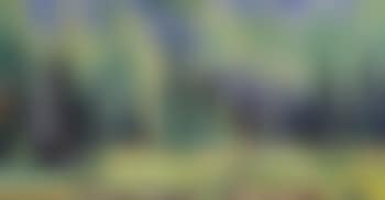 Pine forest (preview)