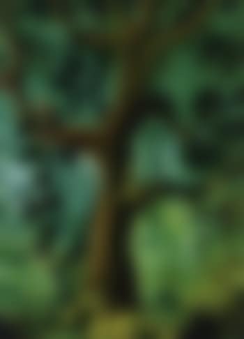 The animals' tree II (preview)