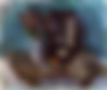 Still life with oranges (preview)