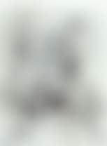 Figure (preview)