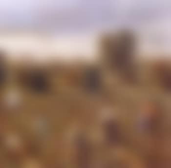 In the cotton fields (preview)