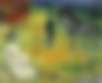 La rencontre (preview)