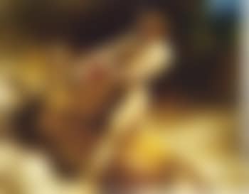 Samson's youth (preview)