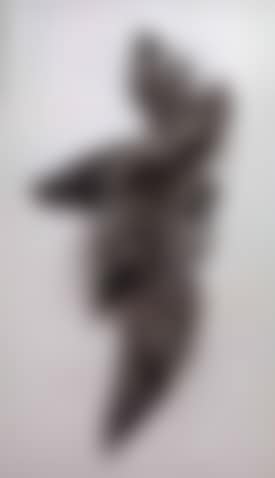 Tokoroa scene No.1 (preview)
