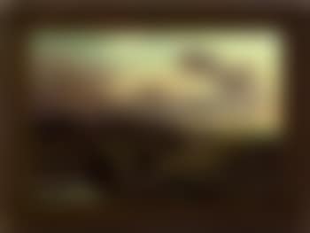 Highland landscape with cattle resting near a shore (preview)