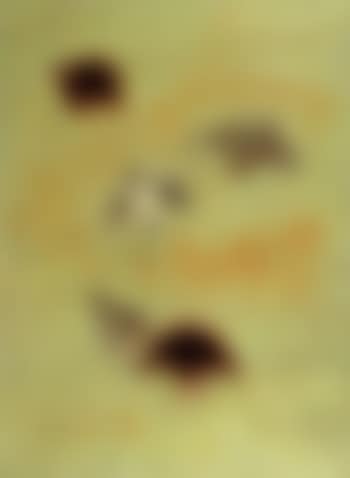 Cailles (preview)