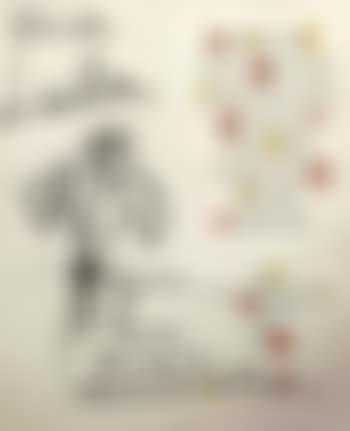 Bouquet de fleurs (preview)