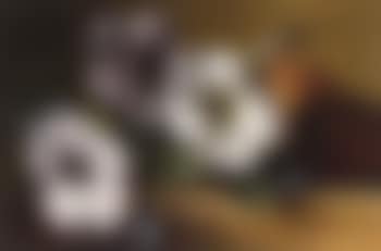 Still life of flowers and fruit (preview)